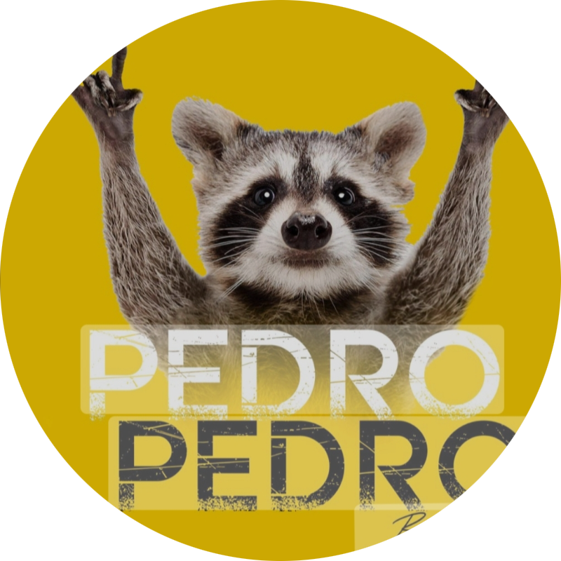 Pedro Pedro Pedro - Fantasy Soccer Copa América 2024